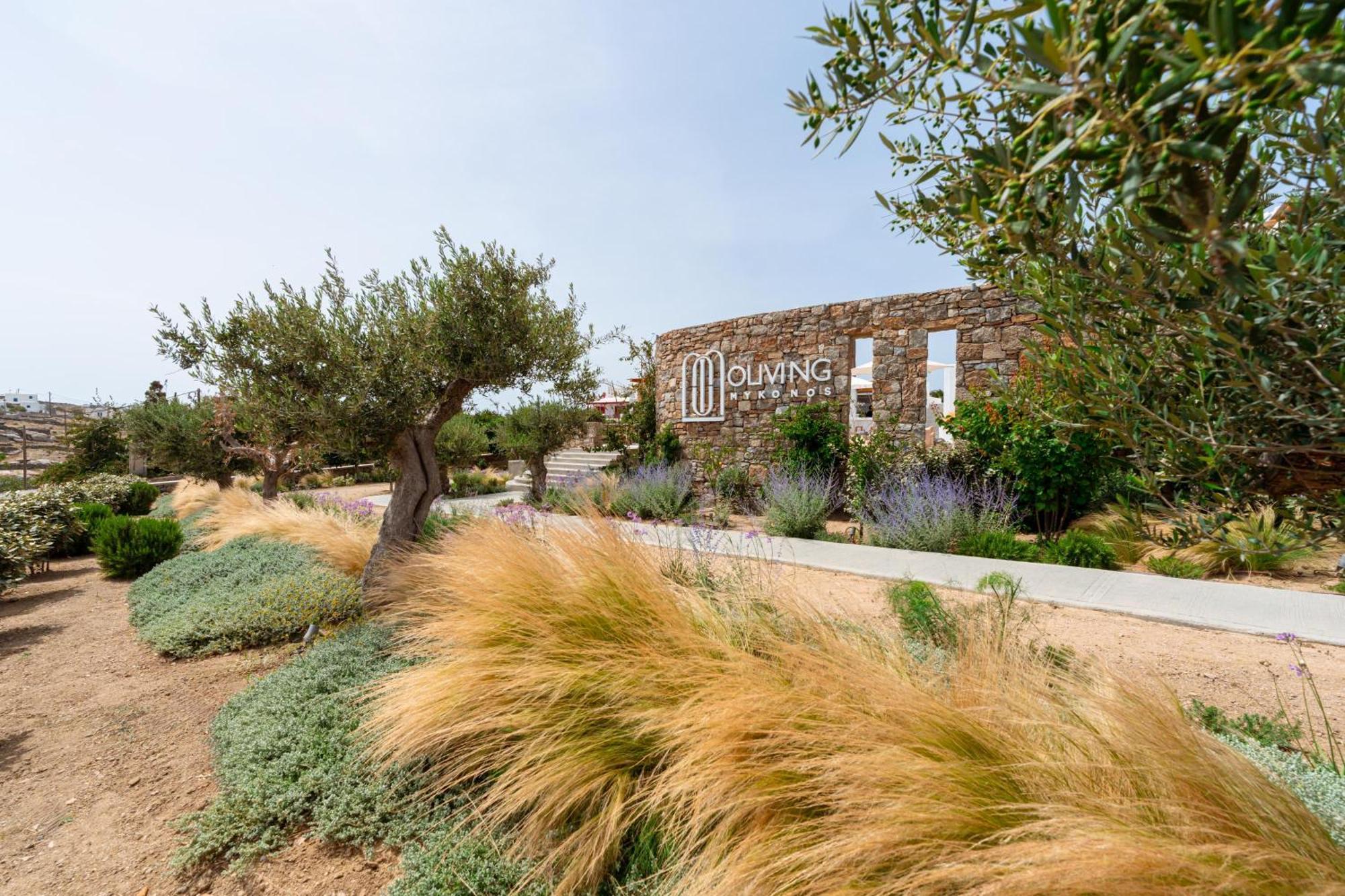 Oliving Mykonos Luxury 4* Klouvas